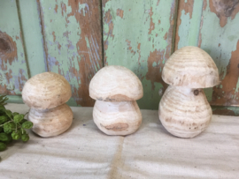Set houten paddenstoelen