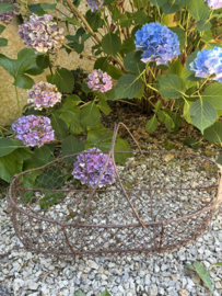 Brocante metalen mand