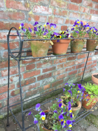 Old French flower rack real nice!