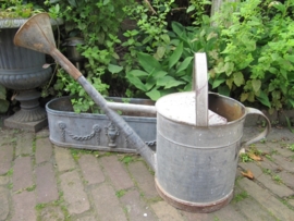 Old zinc watering can