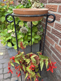 Set van 2 smeedijzeren bloemen standaards