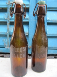 Antique brown Belgian beer bottles Brewery Loose in Halen