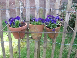 Nice old plant rack
