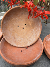 Terracotta schaal