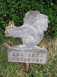 Tuinpikker squirrel crossing