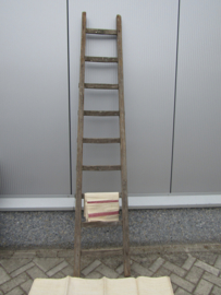 Antique wooden ladder