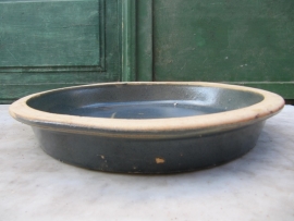 Scale Plant
