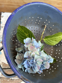 Brocante vergiet