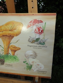 Old poster