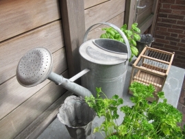 Zinken gieter