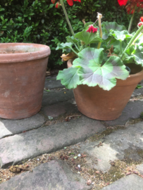Antieke terracotta pot