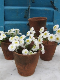 Old Antique teracotta garden pots hand-formed by 10 pieces