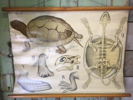 Old poster on linen