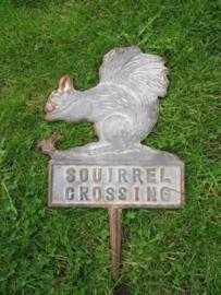 Tuinpikker squirrel crossing