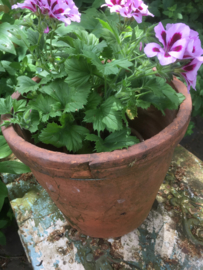 Antieke handgevormde terracotta pot groot