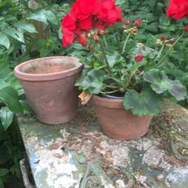 Antieke terracotta pot