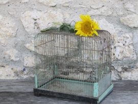 French brocante green metal bird cage