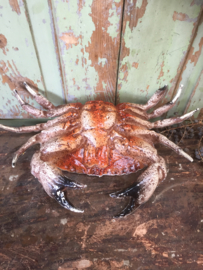 Kunststof krab