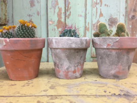 Antique French terracotta flower pots