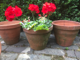 Antieke terracotta pot