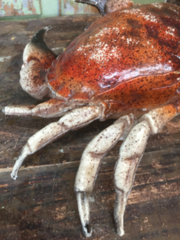 Kunststof krab