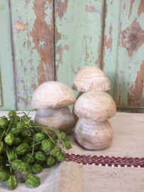 Set houten paddenstoelen
