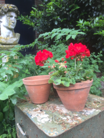 Antieke terracotta pot
