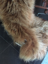 Groot schapenvacht