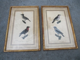Mooie litho van Th. Lejeune en de Burggraaff uit 1833
