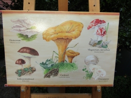 Old poster