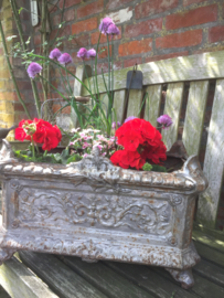 Antieke set gietijzeren jardinière