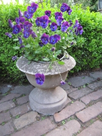 Mooie oude stenen tuinvaas of bloempot