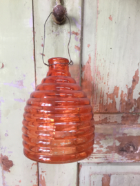 Big wasp catcher