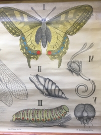 Old poster on linen
