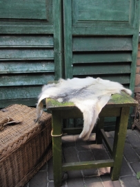 Leuk wit dierenhuidje