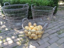 Galvanized potato basket