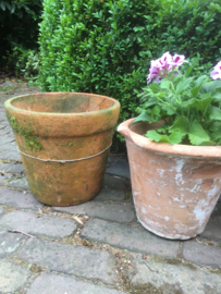Grote antieke terracotta potten, set van 5