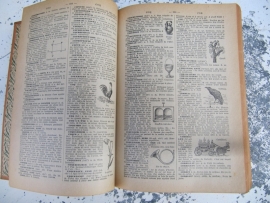 Nouveau petit Larousse encyclopedia
