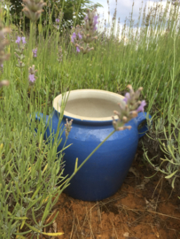 Antieke Franse blauwe grespot