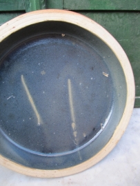 Scale Plant