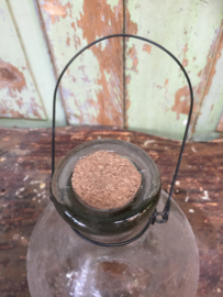 Wasp catcher