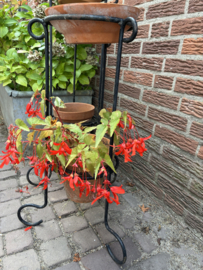 Set van 2 smeedijzeren bloemen standaards
