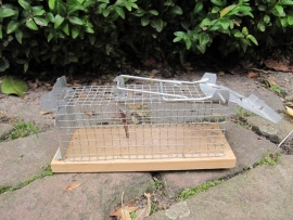 Cute old mousetrap in good condition