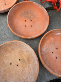 Terracotta schaal