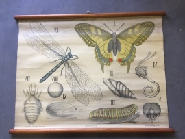 Old poster on linen