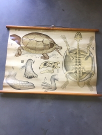 Old poster on linen