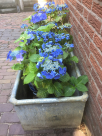 Oude zinken trog