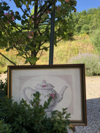 Oude lijst met afbeelding van Theepot