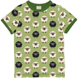 T-shirt Maxomorra, Sheep 74-80 of 122-128