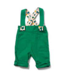 Broek met bretels Little Green Radicals, Fern Green Bubble Bottoms 6-9mn